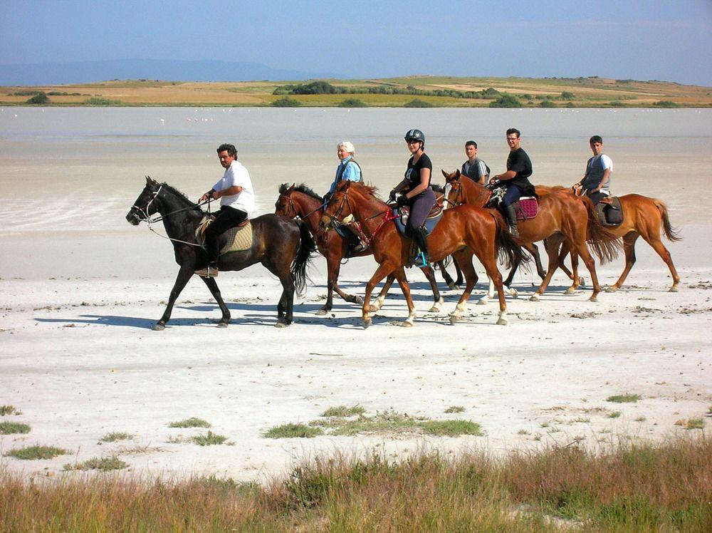 Horse Country Resort Congress & Spa - Hotel Ribot Arborea Exteriör bild