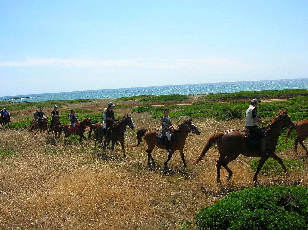 Horse Country Resort Congress & Spa - Hotel Ribot Arborea Exteriör bild