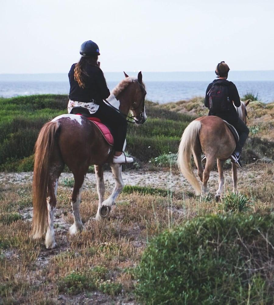 Horse Country Resort Congress & Spa - Hotel Ribot Arborea Exteriör bild