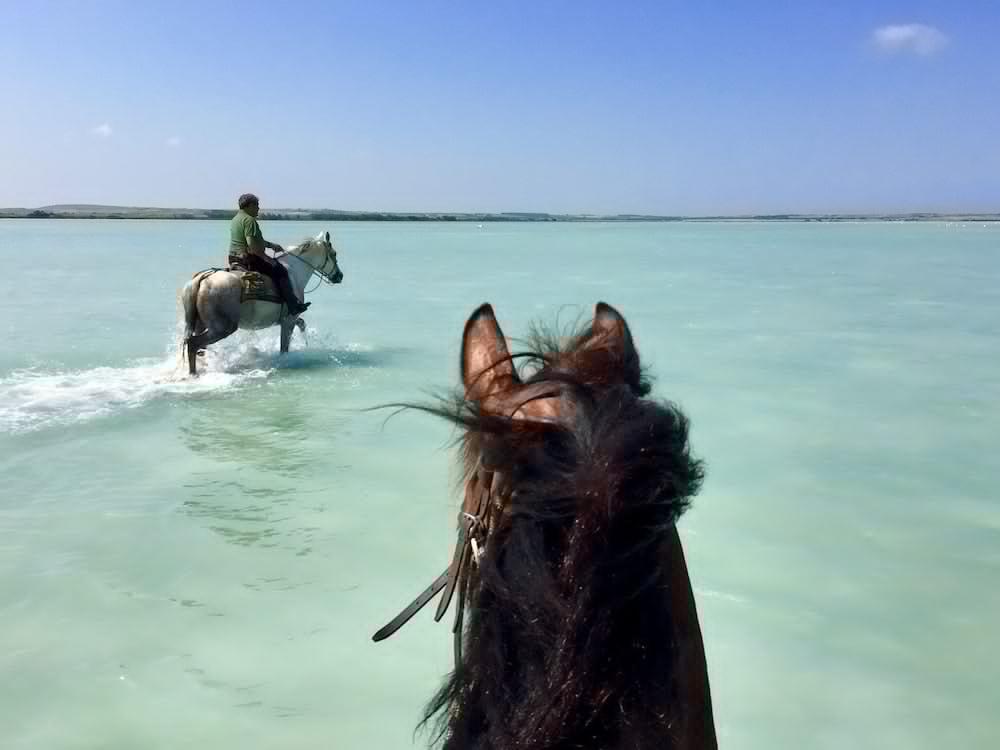 Horse Country Resort Congress & Spa - Hotel Ribot Arborea Exteriör bild